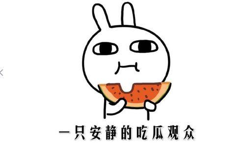 娱乐吃瓜名字怎么取的呀,揭秘“娱乐吃瓜”名字背后的趣味与智慧